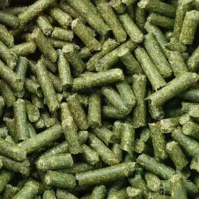 Rice Husks
