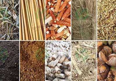 Biomass materials