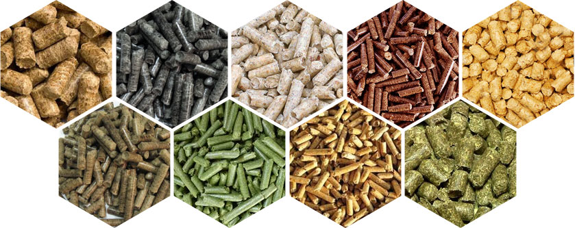 Biomass Pellet