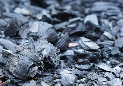 Charcoal raw materials