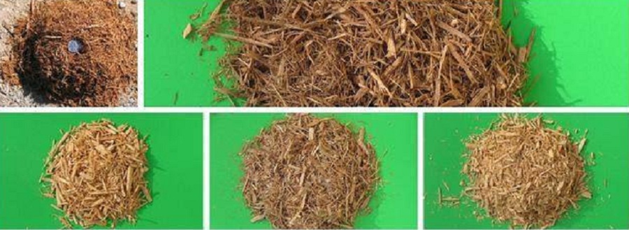 biomass material