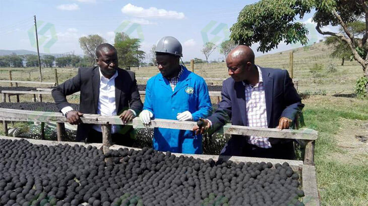 15 tons/h Coal Briquette Production Plant in Kenya