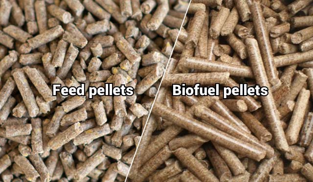 Feed pellets & Biofuel pellets