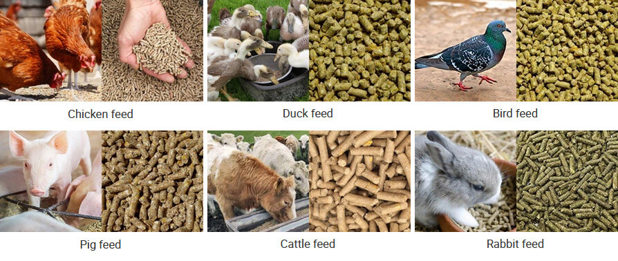 Pellet Machine Principle