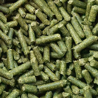 Rice Husks