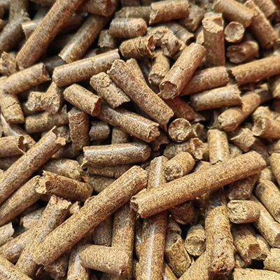 Sugarcane Bagasse