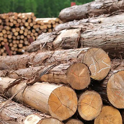 Wood Log